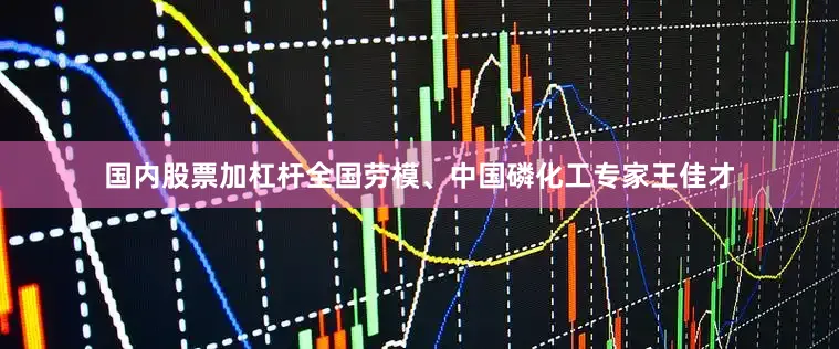 国内股票加杠杆全国劳模、中国磷化工专家王佳才