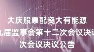 大庆股票配资大有能源：第九届监事会第十二次会议决议公告