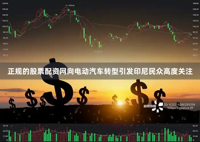 正规的股票配资网向电动汽车转型引发印尼民众高度关注