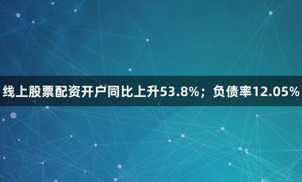 线上股票配资开户同比上升53.8%；负债率12.05%