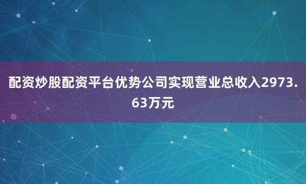 配资炒股配资平台优势公司实现营业总收入2973.63万元